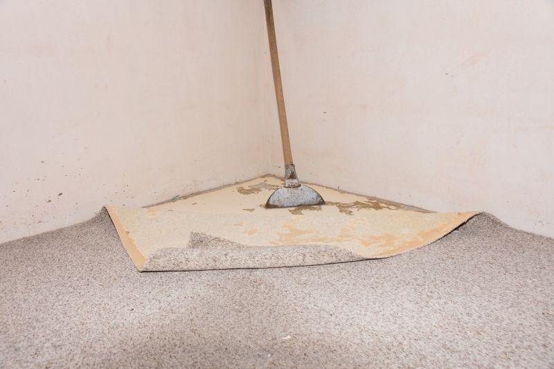 Basement Carpet Repair in Olathe, KS