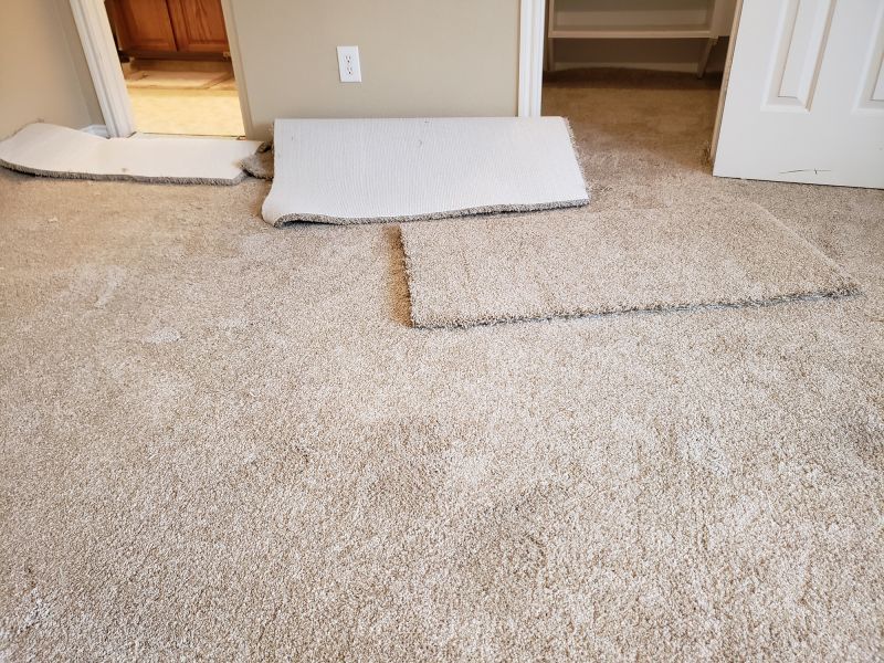 Carpet Foam Replacement in Alpharetta, GA