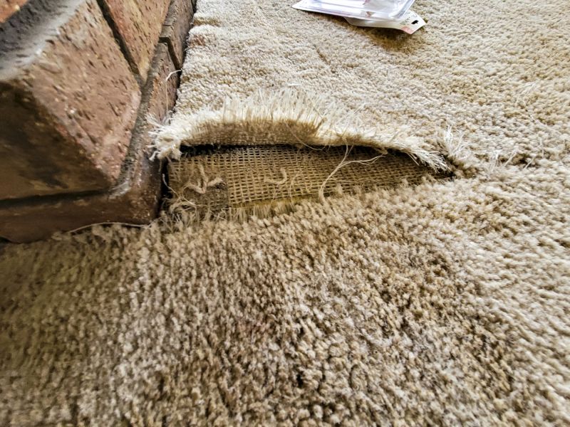 Carpet Repair Service in Olathe, KS