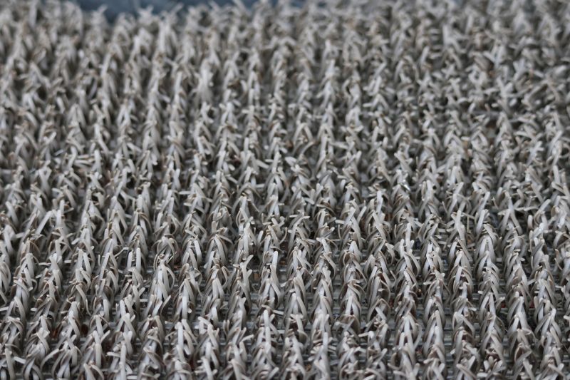 Carpet Restretching in Overland Park, KS