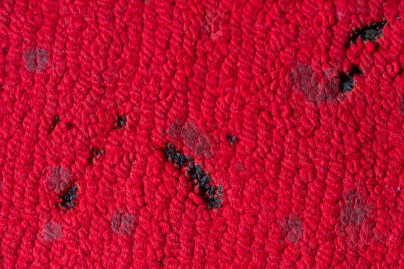 Commercial Carpet Repair in Kansas City, KS