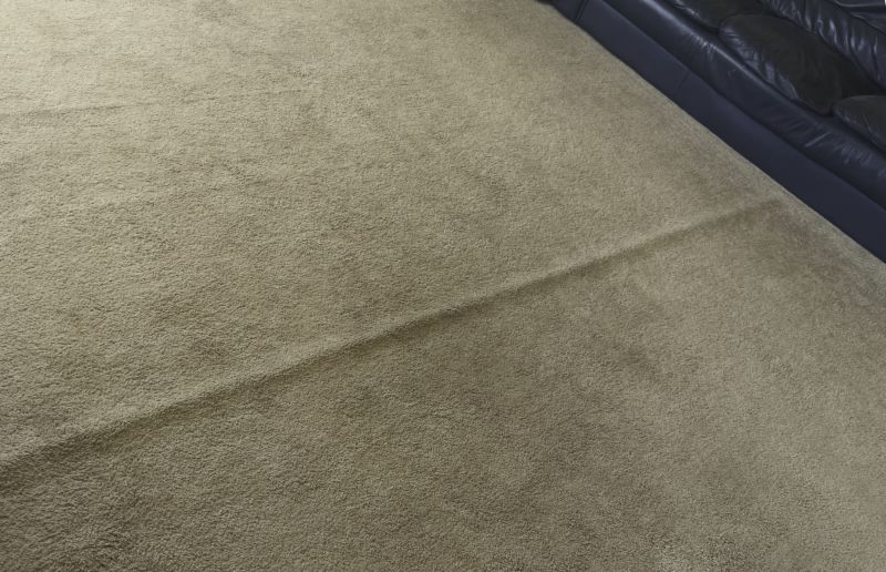 Residential Carpet Repair in Kansas City, KS