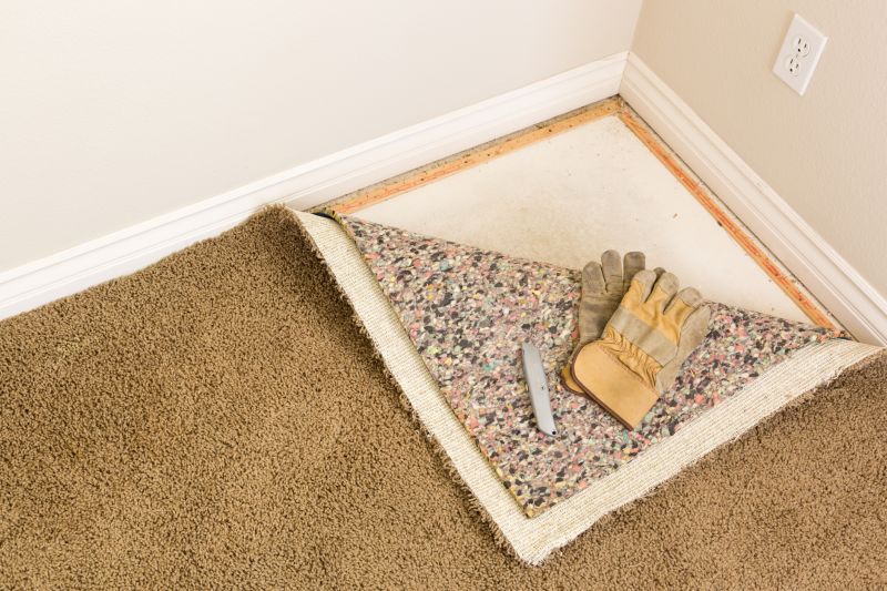Basement Carpet Replacement in Monmouth County, NJ